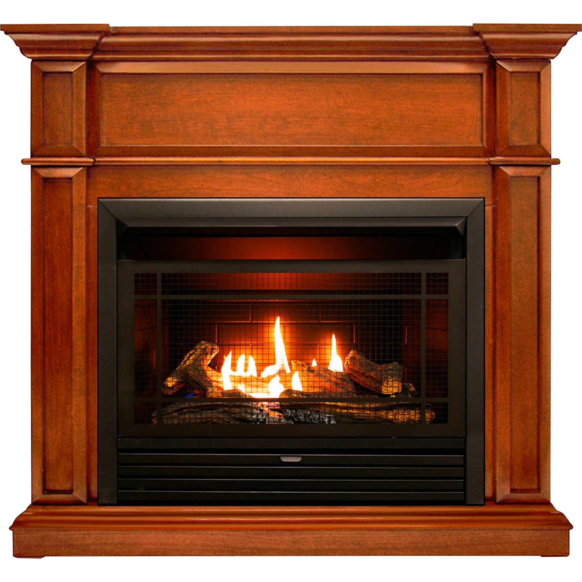 Bluegrass Living Vent-Free Dual Fuel Fireplace Insert — 26,000 BTU ...